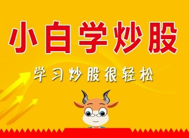 炒股入门知识：长三角自贸区概念股之澳洋顺昌、连云港和南京港