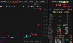 网络股票配资:11天11板，鼠年第一牛股与特斯拉啥交情？秀强股份：非一级供应